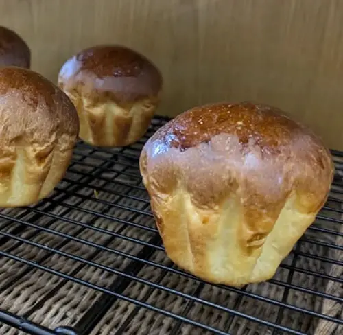 Brioche