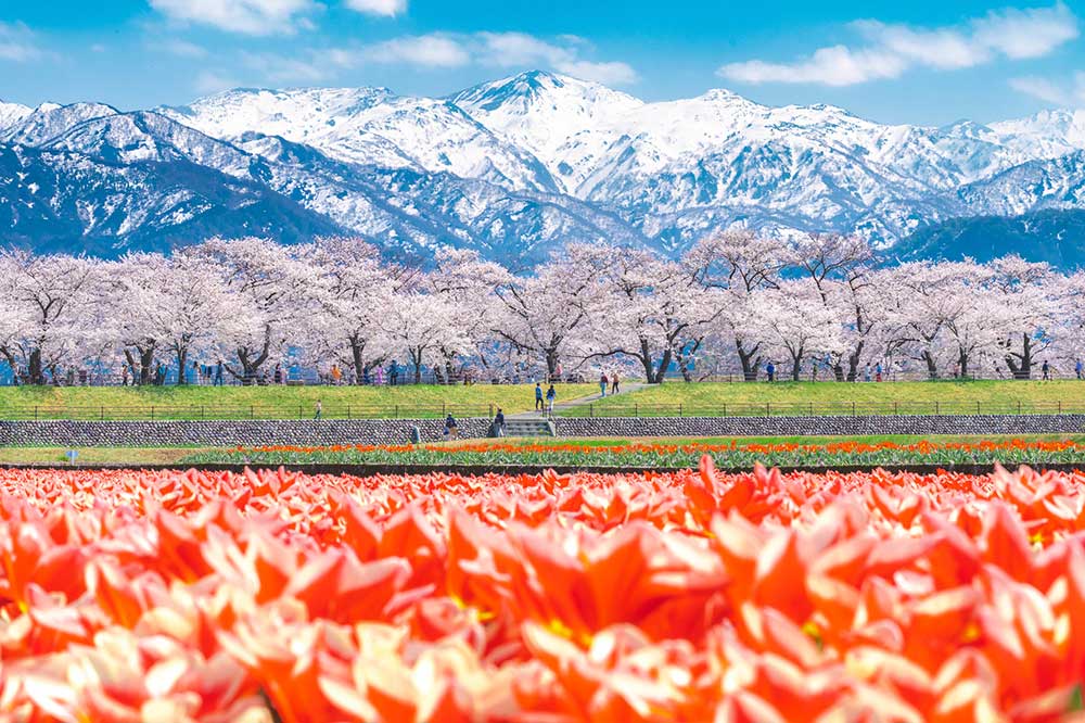 toyama