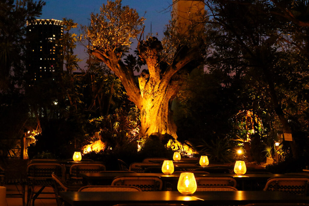 GARDEN WHITE ～BEER GARDEN～