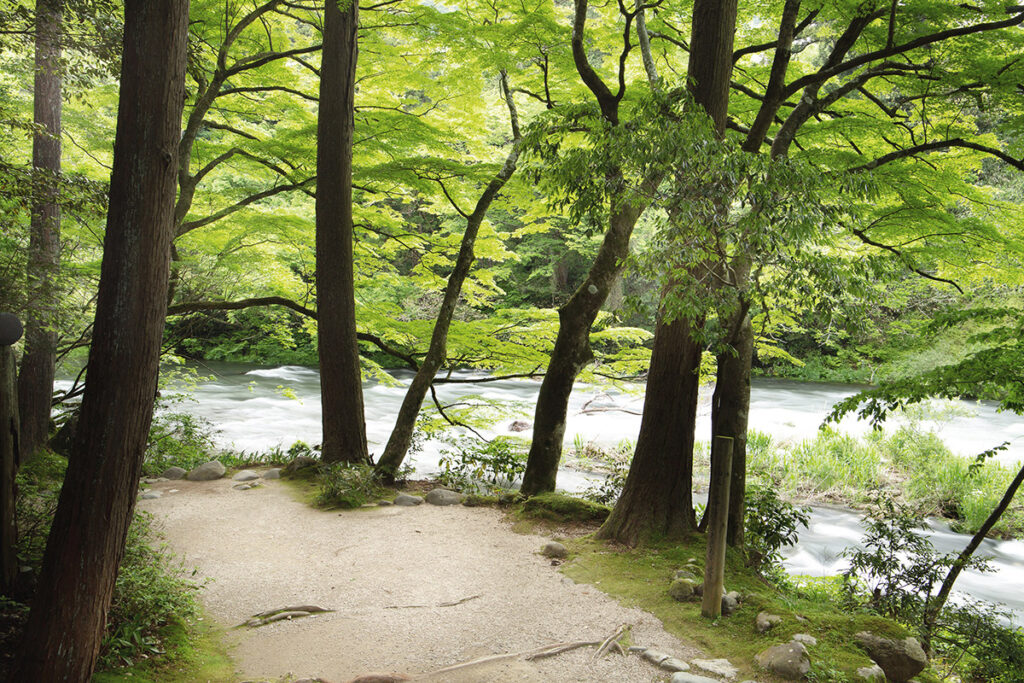 Kakusenkei